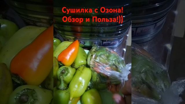 Сушилка с Озона, мой опыт!)) #обзоры #сушилка #овощи