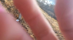 АСМР таппинг и скратчинг по дереву, тригеры на улице || ASMR tapping and scratching