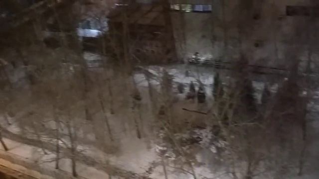 Снежная сказка из моего окна смотреть онлайн