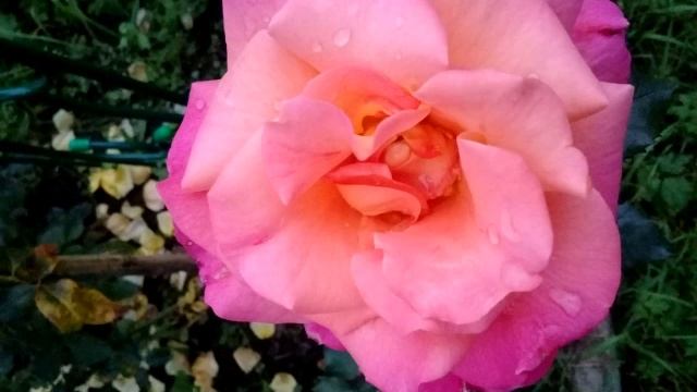 КОМЕДИЯ РОК Любовь - это Счастье!)) смотреть онлайн