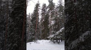 №63 Сонастройка и гармонизация высоких частот структур