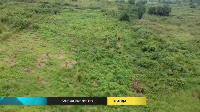 Новости мира (05.04.2024) смотреть онлайн