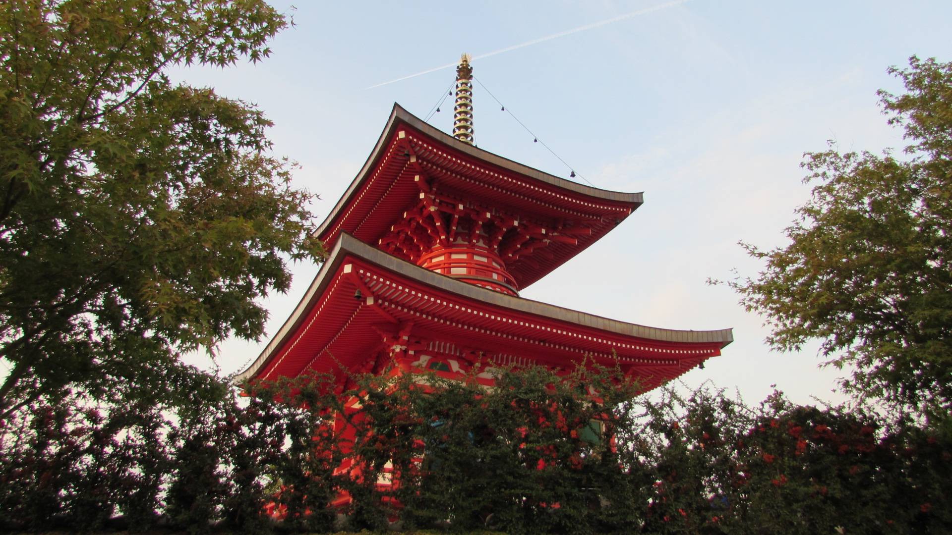 Японский сад осенним вечером (Парк Галицкого) смотреть онлайн