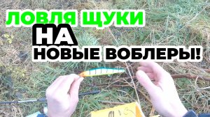 Ловля щуки на новые воблеры! Ловля щуки на спиннинг зимой в декабре! Зимний спиннинг!