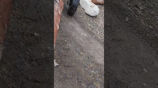 Хулиганка и бревно #своимируками #минитрактор #собака #техника #самоделки смотреть онлайн