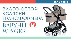 Видеообзор коляски трансформера Babyhit Winger