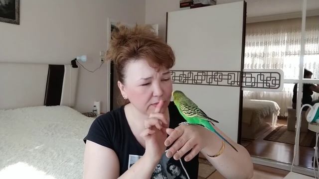 Влог_ Домохозяйка в Турции ✔️ Осенние Обострение 🥴✔️ Уборку никто не отменял ✔️ Турция смотреть онлайн