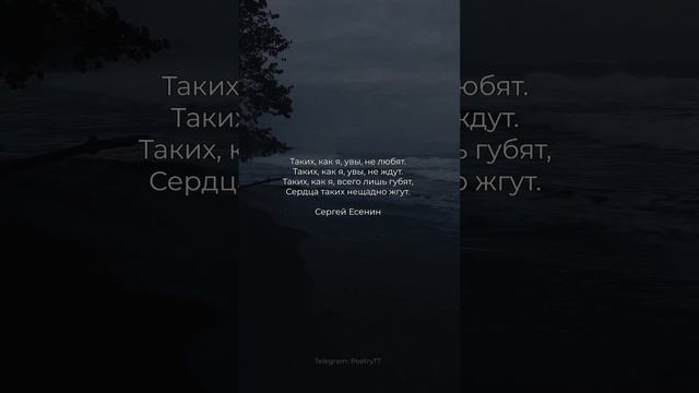 Таких, как я, увы, не любят. #стихи #поэзия #стих смотреть онлайн
