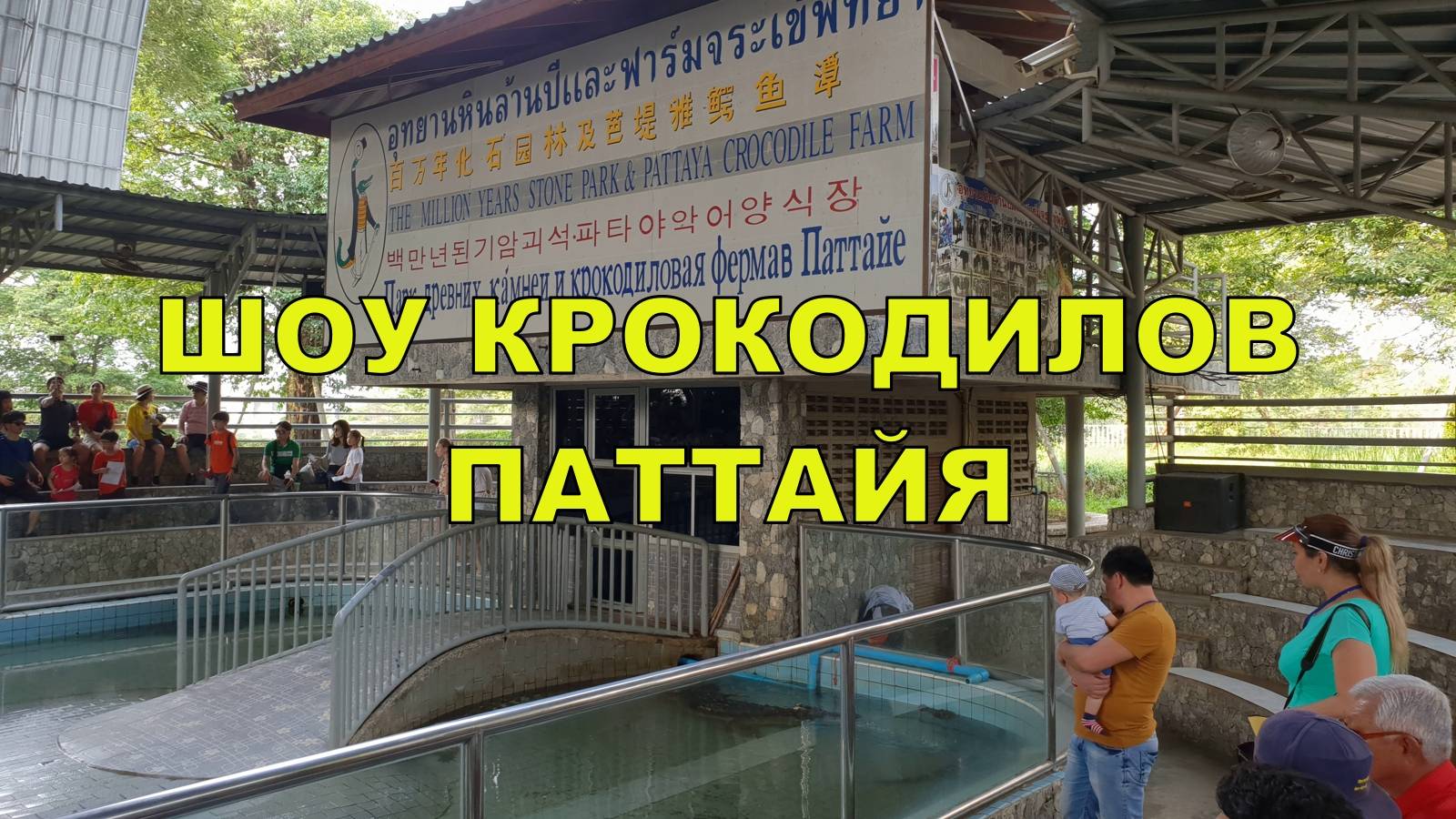 Шоу крокодилов в парке миллионолетних камней. Паттайя. смотреть онлайн