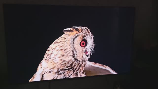 Телевизор Haier 55 Smart TV S6