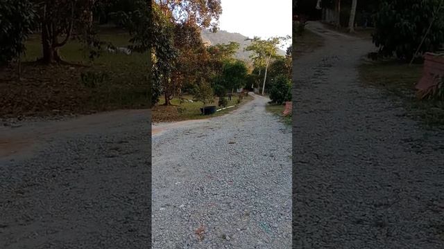 Kewarga kedah Qaseh Qisya di homestay teroi смотреть онлайн