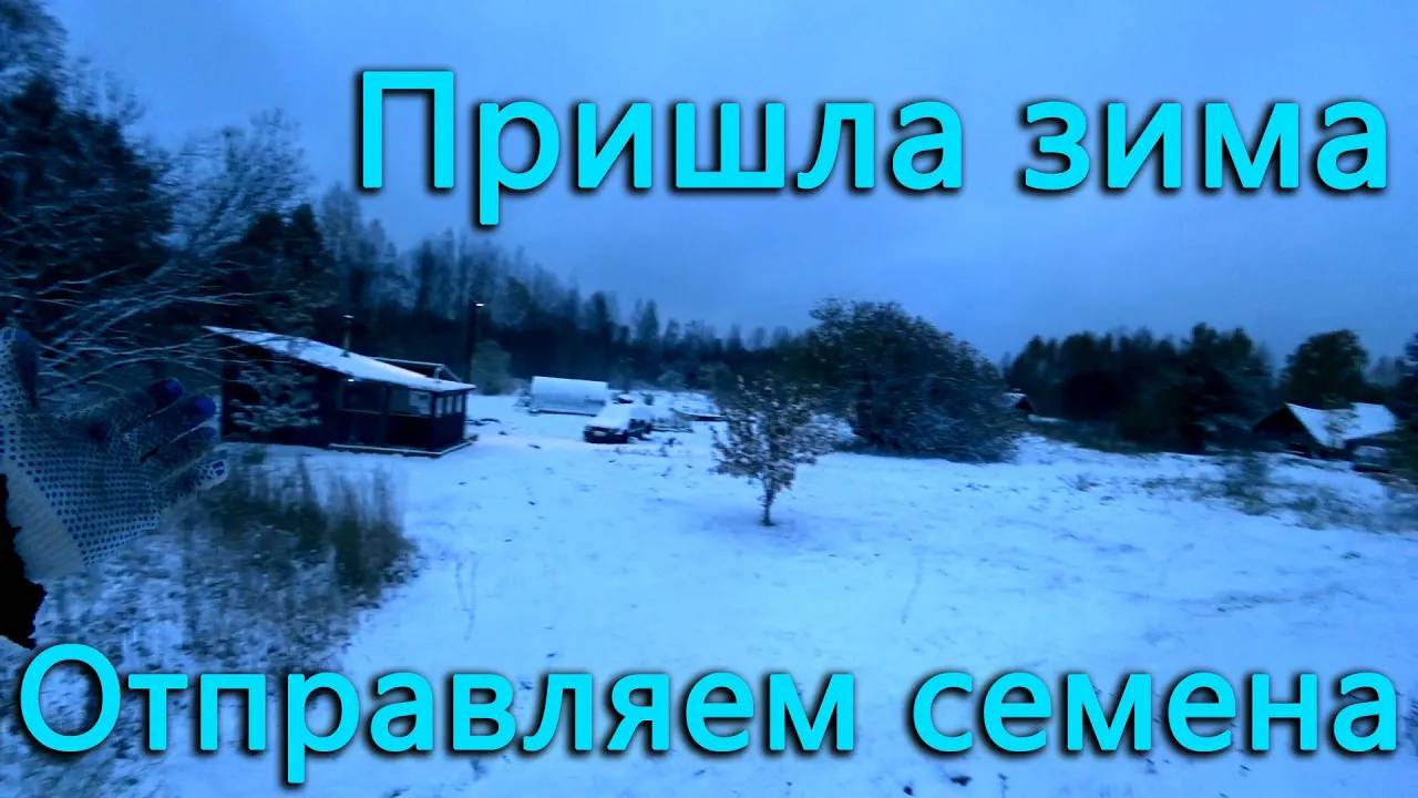 Пришла зима отправляем семена. Сливаем воду из мотора новой машины. смотреть онлайн