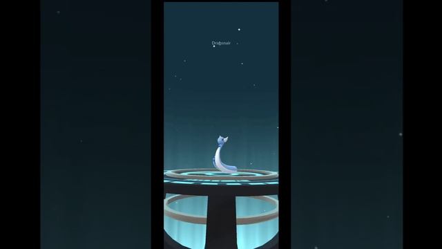 Hundo (100% IVs) Dratini Evolution to Dragonite! - Dragon Week - Pokemon GO смотреть онлайн