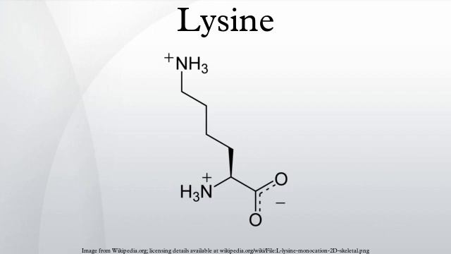 Lysine
