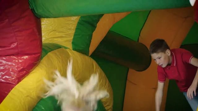 Super Krokodil - Jumping Almere, Lelystad & Het Gooi смотреть онлайн