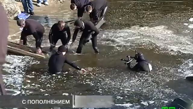 Новости МТМ - Плыви, рыбка, большая и маленькая - 12.11.2012 смотреть онлайн