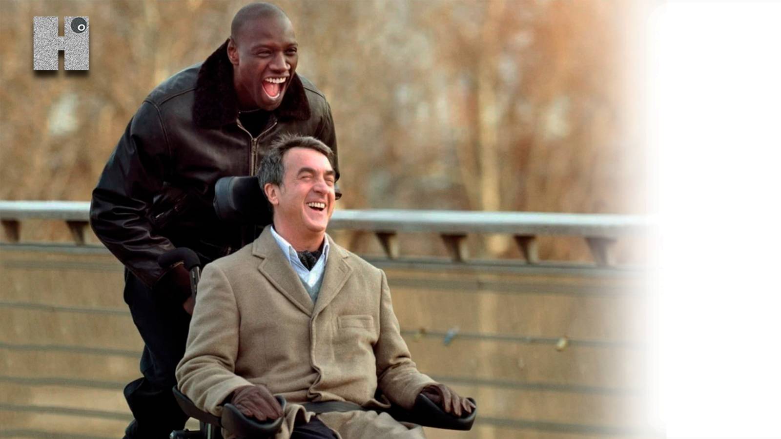 Почему мы любим фильм 1+1