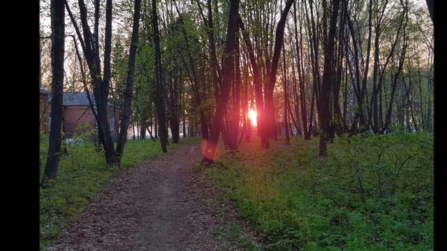 Село моє рідне, село заповітне! - День 2 Тижня Слави в Огульцях-2022 смотреть онлайн