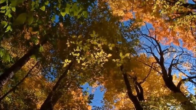 Елена Фролова - Греческая песня