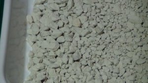 Наполнители для кошек. Три основных вида. Плюсы и минусы.