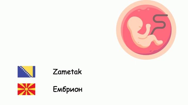 Biologija (Makedonski jezik) (bs-mk) смотреть онлайн
