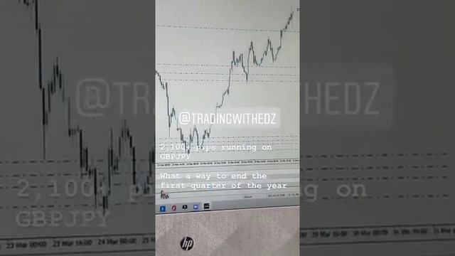 Forex trader ( Edz) runs up 2000+ pips profit tradig GBP-JPY. смотреть онлайн