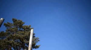 крематорий для индивидуальной кремации животных