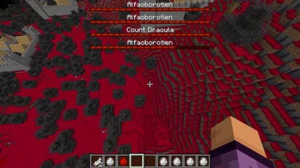 Minecraft NeoForge_ 1.21.1 - Одиночная игра 2024-12-13 13-13-01