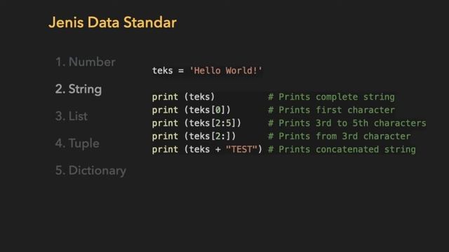 Python Variables смотреть онлайн