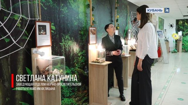 Шустрое утро 29 12 22 смотреть онлайн