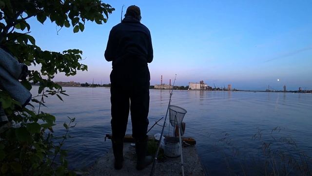 Отличная ночная рыбалка. Только рыба мелковата) #судак #ловлясудака смотреть онлайн