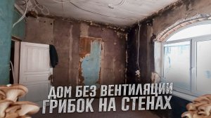 Дом без вентиляции, стены поражены грибком. Восстанавливаю дом 1958 года.