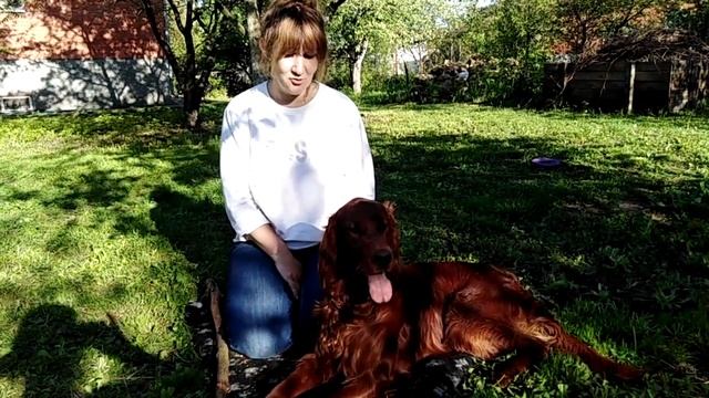 Отзыв от Виктории и Теодора. смотреть онлайн