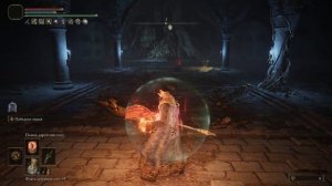 КАК ПОПАСТЬ В ЛЕВУЮ ЧАСТЬ СНЕЖНОЙ ЛОКАЦИИ! ELDEN RING ТОЛЬКО КНУТЫ #24