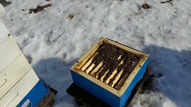 Весенние работы продолжение смотреть онлайн