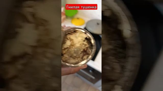 тушенка смотреть онлайн