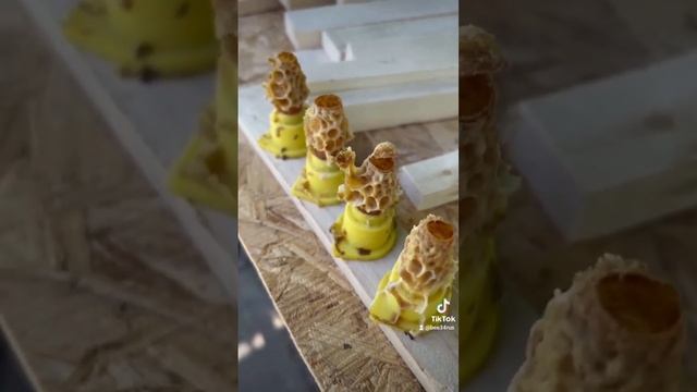 маточники #мёд #bee #honey #пчела #вкусно #акация #посылка смотреть онлайн