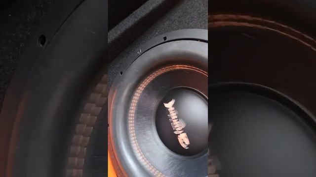 Barracuda 12A V.2 SE с подсветкой теперь в Москвич 3 #москвич3 #shortvideo #dlaudio #автозвук смотреть онлайн