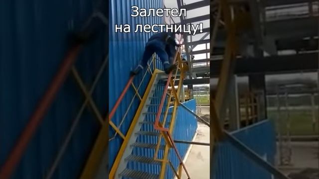 Зелетаем на следующий объект #стяжка #shorts #стройка #юмор #москва смотреть онлайн