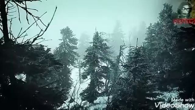 Топ 5 самых страшных историй от NOSFERATU.