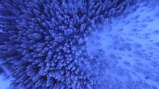 БОЖИЙ ПРОМЫСЕЛ.ИСПОВЕДЬ КОМУНИСТКИ. смотреть онлайн