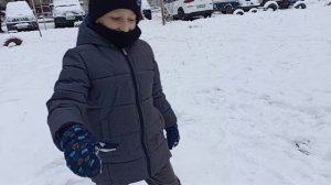 Снежки ноябрь 2024