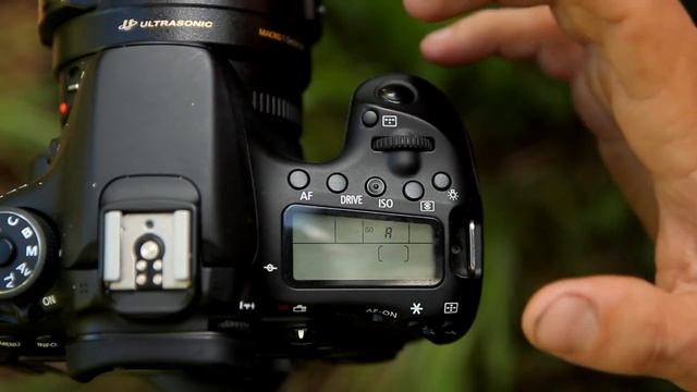 будни фотографа / съёмка птиц смотреть онлайн