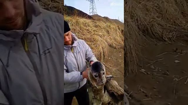 Герои,правда? Оставь реакцию 👇🏻 #терехова #альбина #сахалин #спасение #муж#геройнашеговремени смотреть онлайн