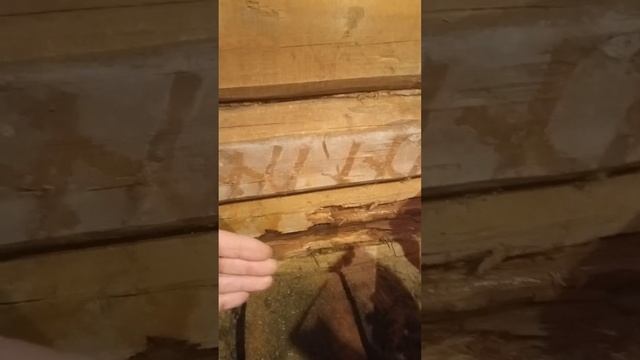 ⚡⚡⚡СГНИЛ Первый Венец Сруба БАНИ😡ЖЕСТЬ #short video смотреть онлайн