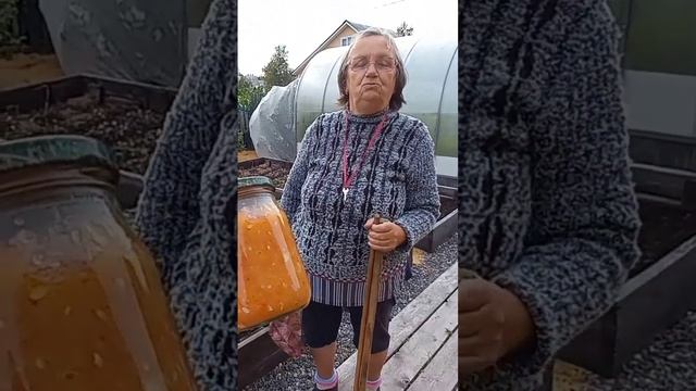 аджика из кабачков. см полный Влог от 29.08.22 зеленей не будет смотреть онлайн