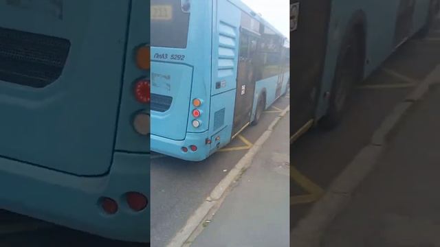 автобус по маршруту 211 смотреть онлайн