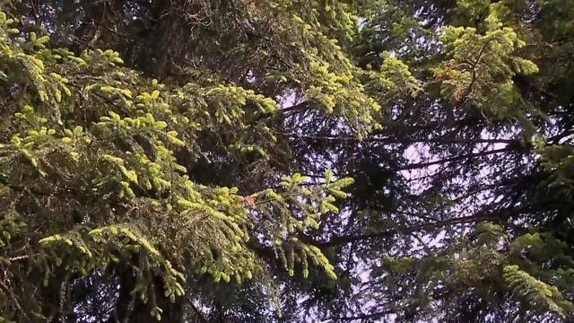 Au Fil De La Durance, Des Hautes-Alpes à La Provence | Patrimoine Montagnard | Trésors Du Patrimoin