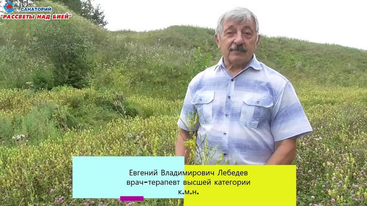 Трава донника. смотреть онлайн