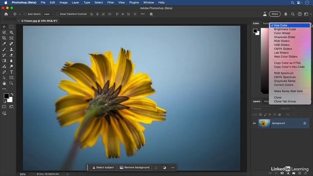 09-01 - Color basics смотреть онлайн